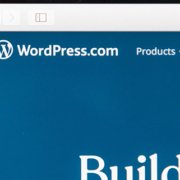 wordpress.com or wordpress.org